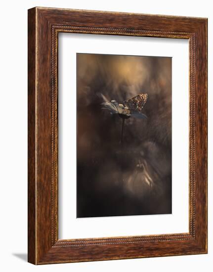 Pyrotechnics-Fabien Bravin-Framed Photographic Print