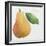 Pyrus, pear-Jennifer Abbott-Framed Giclee Print