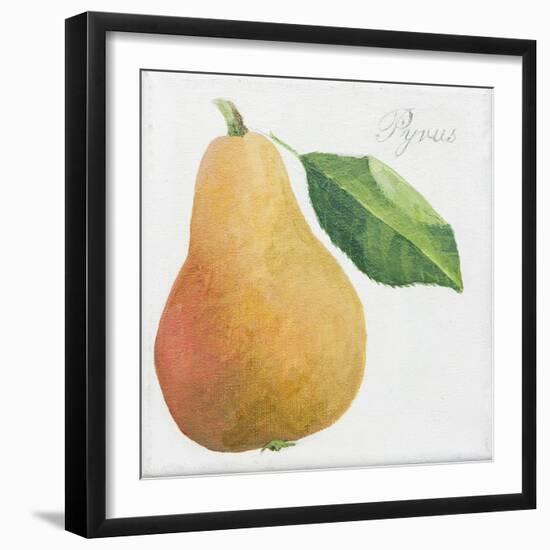 Pyrus, pear-Jennifer Abbott-Framed Giclee Print