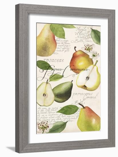 Pyrus Study I-Grace Popp-Framed Art Print