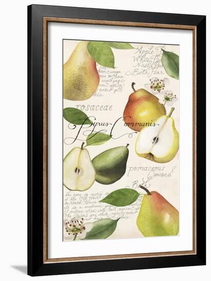 Pyrus Study I-Grace Popp-Framed Art Print