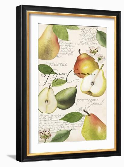 Pyrus Study I-Grace Popp-Framed Art Print