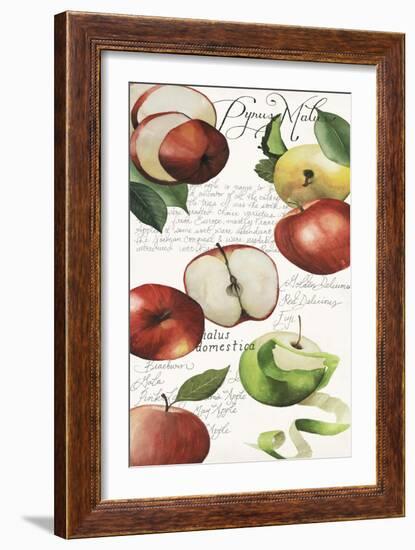 Pyrus Study II-Grace Popp-Framed Art Print