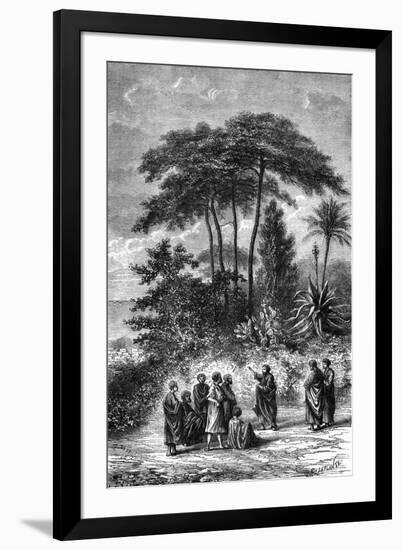 Art Print, , large