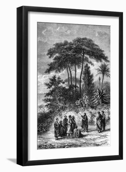 Art Print, , large