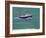 PZ 590, 1999-John Miller-Framed Giclee Print