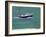 PZ 590, 1999-John Miller-Framed Giclee Print