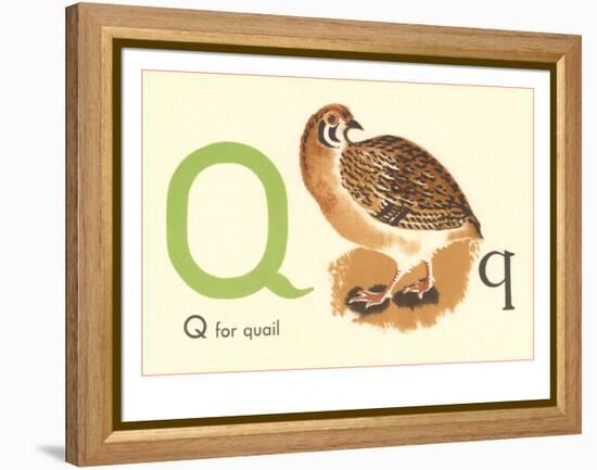 Q is for Quail-null-Framed Stretched Canvas