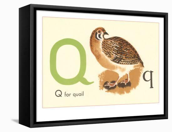 Q is for Quail-null-Framed Stretched Canvas