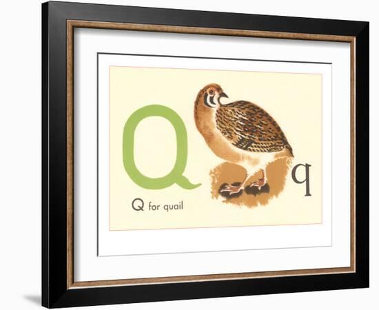 Q is for Quail-null-Framed Premium Giclee Print