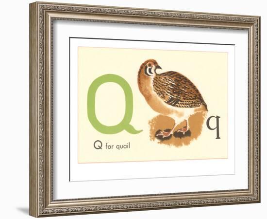 Q is for Quail-null-Framed Art Print