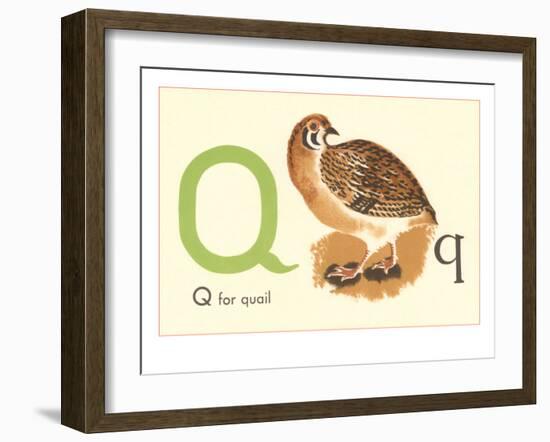 Q is for Quail-null-Framed Art Print