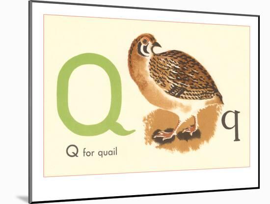 Q is for Quail-null-Mounted Art Print