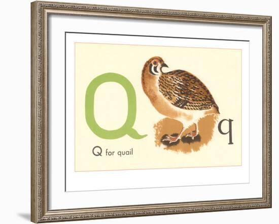 Q is for Quail-null-Framed Art Print