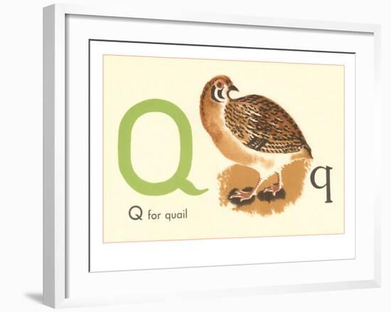 Q is for Quail-null-Framed Art Print