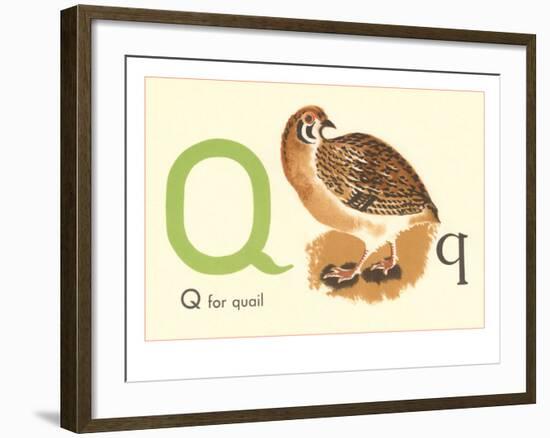 Q is for Quail-null-Framed Art Print
