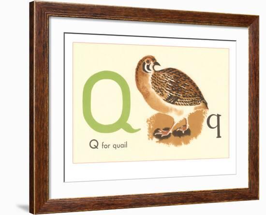 Q is for Quail-null-Framed Art Print