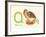 Q is for Quail-null-Framed Art Print