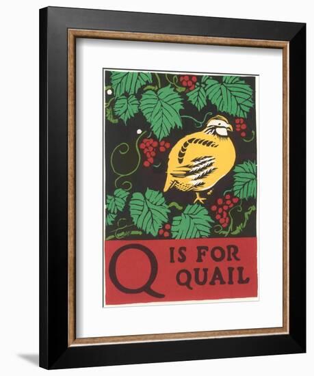 Q is for Quail-null-Framed Premium Giclee Print