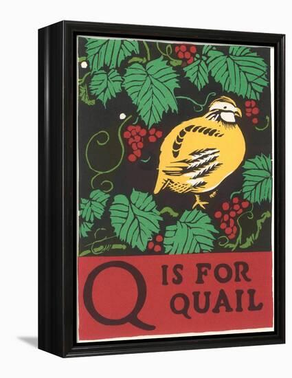 Q is for Quail-null-Framed Stretched Canvas