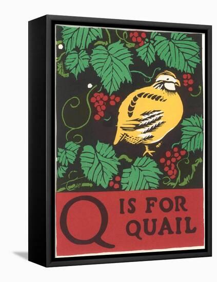 Q is for Quail-null-Framed Stretched Canvas