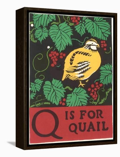 Q is for Quail-null-Framed Stretched Canvas