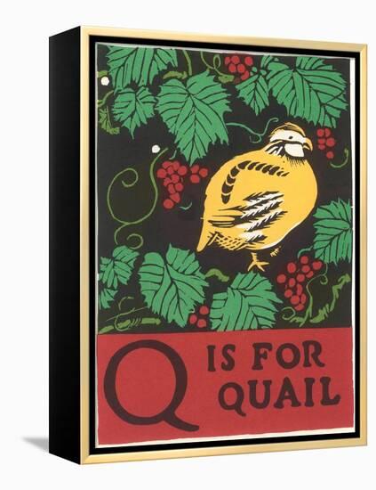 Q is for Quail-null-Framed Stretched Canvas