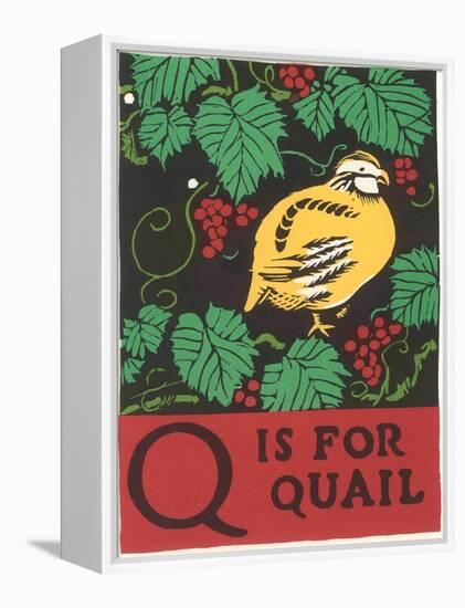 Q is for Quail-null-Framed Stretched Canvas