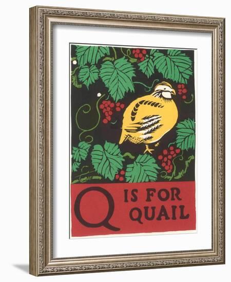 Q is for Quail-null-Framed Art Print