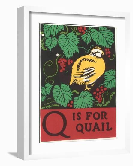 Q is for Quail-null-Framed Art Print