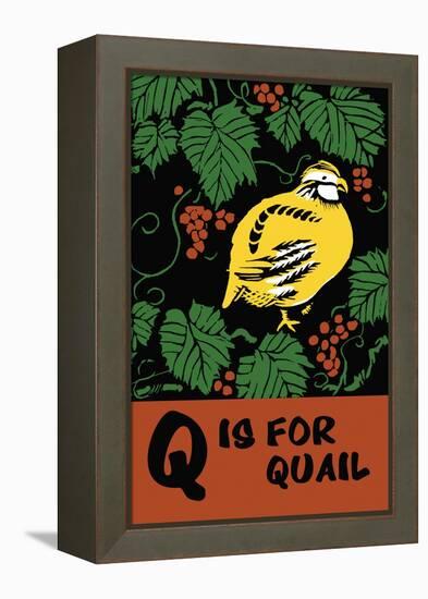 Q is for Quail-Charles Buckles Falls-Framed Stretched Canvas