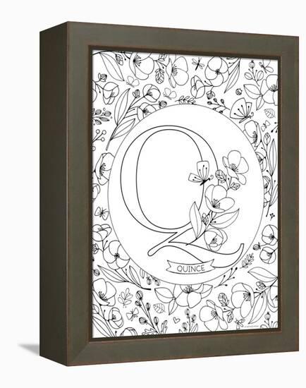 Q is for Quince-Heather Rosas-Framed Stretched Canvas