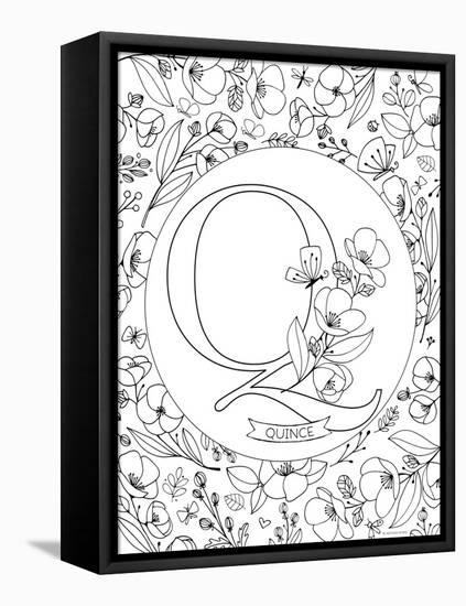 Q is for Quince-Heather Rosas-Framed Stretched Canvas