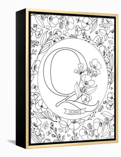 Q is for Quince-Heather Rosas-Framed Stretched Canvas