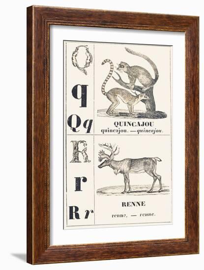 Q R: Quincajou — Renne, 1850 (Engraving)-Louis Simon (1810-1870) Lassalle-Framed Giclee Print