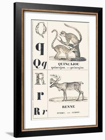 Q R: Quincajou — Renne, 1850 (Engraving)-Louis Simon (1810-1870) Lassalle-Framed Giclee Print