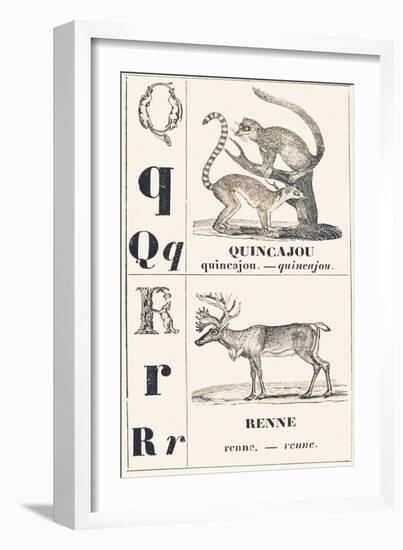 Q R: Quincajou — Renne, 1850 (Engraving)-Louis Simon (1810-1870) Lassalle-Framed Giclee Print