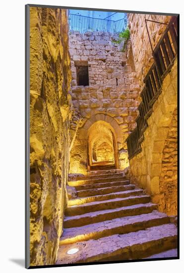 Qalat ar-Rabid Ancient Arabic Fortress Castle, Ajlun, Jordan.-William Perry-Mounted Photographic Print