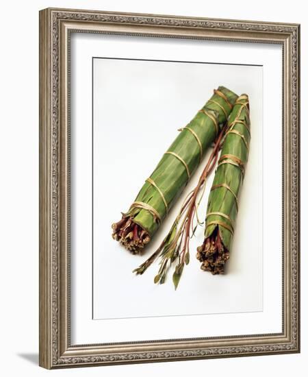 Qat Stems-Cordelia Molloy-Framed Photographic Print