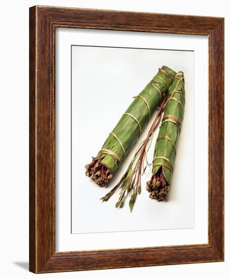 Qat Stems-Cordelia Molloy-Framed Photographic Print