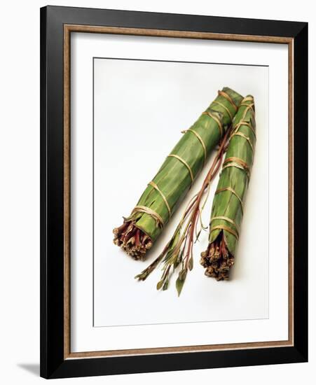 Qat Stems-Cordelia Molloy-Framed Photographic Print