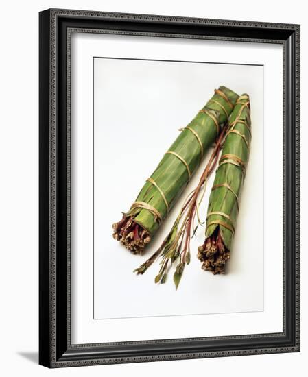 Qat Stems-Cordelia Molloy-Framed Photographic Print