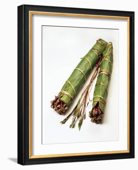 Qat Stems-Cordelia Molloy-Framed Photographic Print