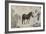 Qazaq présentant len tribut leurs chevaux à l'empereur Qianlong-Giuseppe Castiglione-Framed Giclee Print