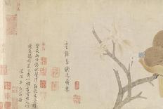 Doves and Pear Blossoms after the Rain-Qian Xuan-Premier Image Canvas