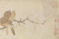 Doves and Pear Blossoms after the Rain-Qian Xuan-Giclee Print