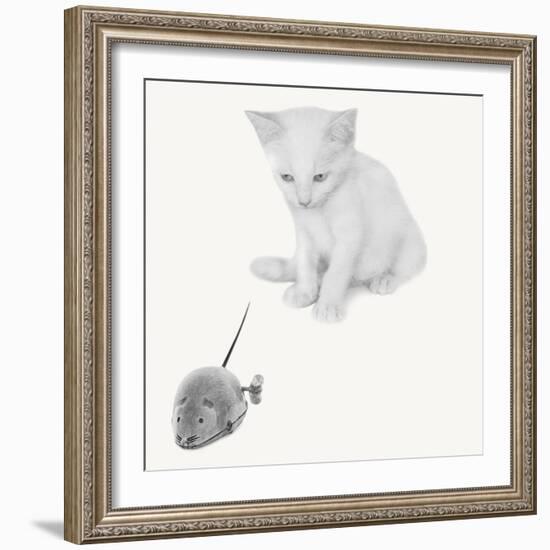 Qu’est-ce que c’est?-Jon Bertelli-Framed Photographic Print