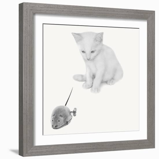 Qu’est-ce que c’est?-Jon Bertelli-Framed Photographic Print