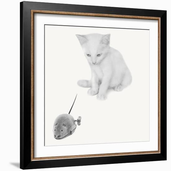 Qu’est-ce que c’est?-Jon Bertelli-Framed Photographic Print