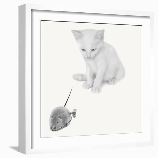 Qu’est-ce que c’est?-Jon Bertelli-Framed Photographic Print